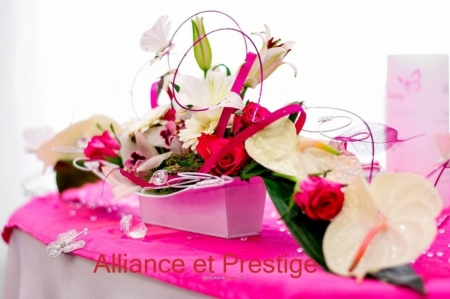Alliance-et-prestige_23197